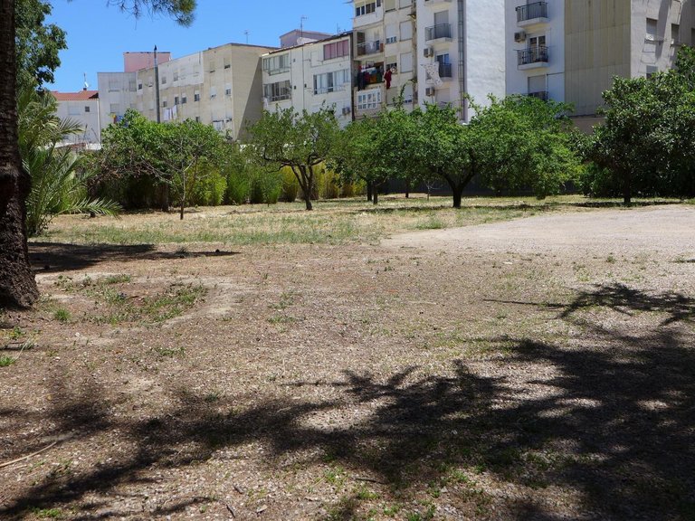 Villa for Sale in Inland Cocentaina, Alicante 33
