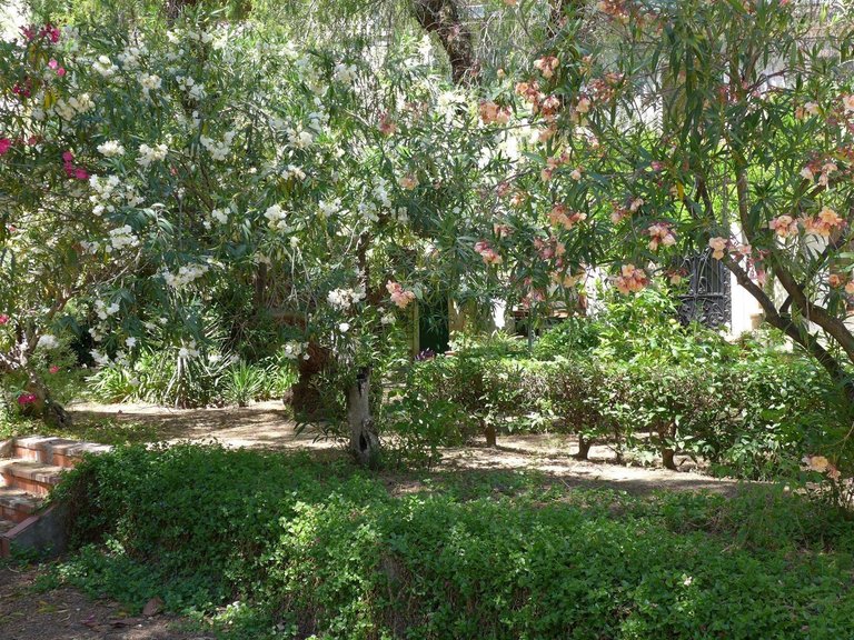 Villa for Sale in Inland Cocentaina, Alicante 38