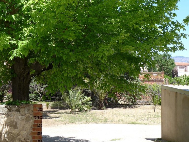 Villa for Sale in Inland Cocentaina, Alicante 4