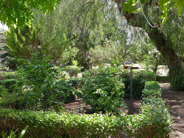 Villa for Sale in Inland Cocentaina, Alicante 40