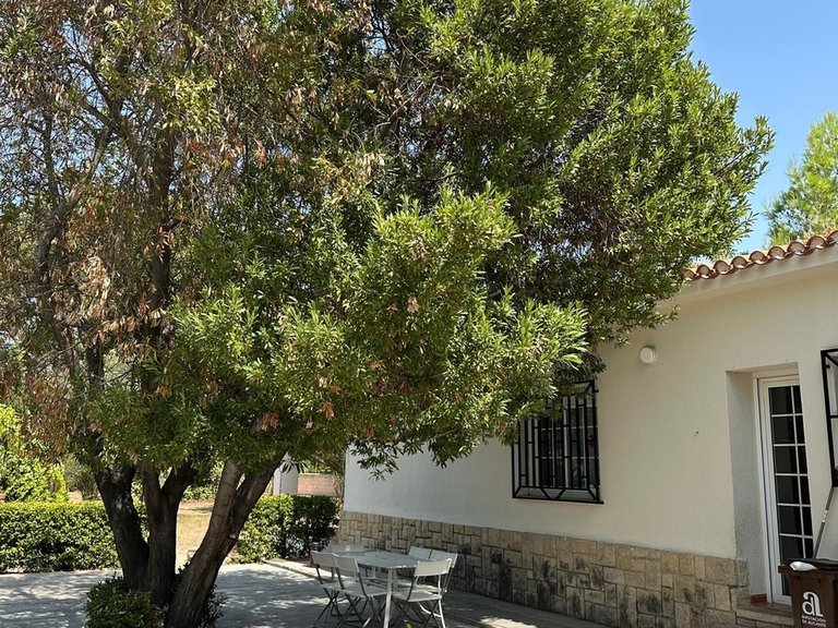 Villa for Sale in Inland Muro De Alcoy, Alicante 36