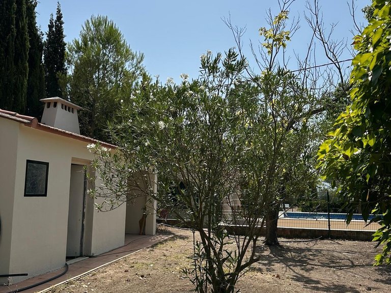 Villa for Sale in Inland Muro De Alcoy, Alicante 39