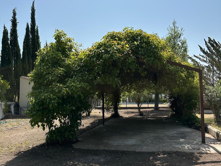 Villa for Sale in Inland Muro De Alcoy, Alicante 43