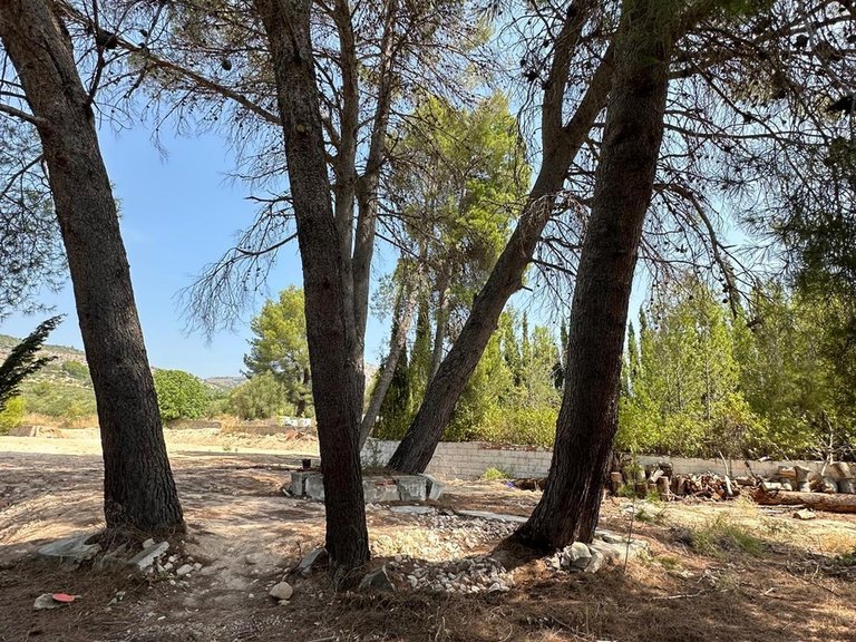 Villa for Sale in Inland Muro De Alcoy, Alicante 44