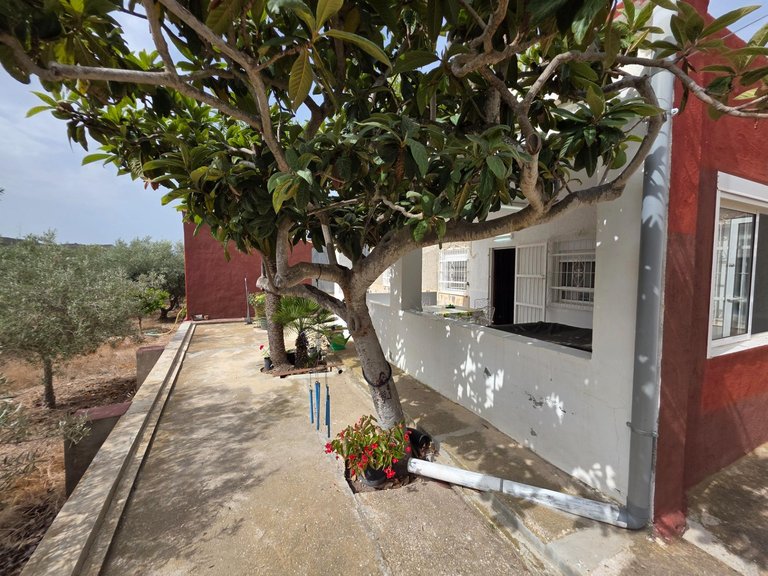 Villa for Sale in  Aigues, Alicante 6