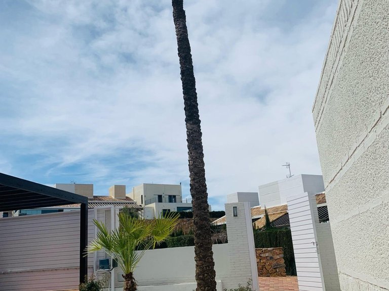 Town House for Sale in Sucina, Murcia 15