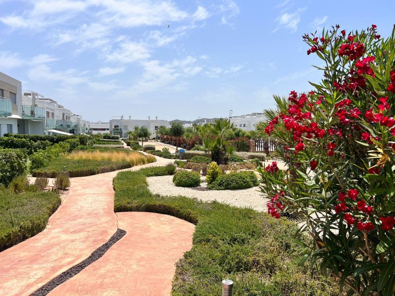 Apartment for Sale in Orihuela, Alicante 14