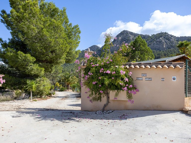 Villa for Sale in Jumilla, Murcia 43