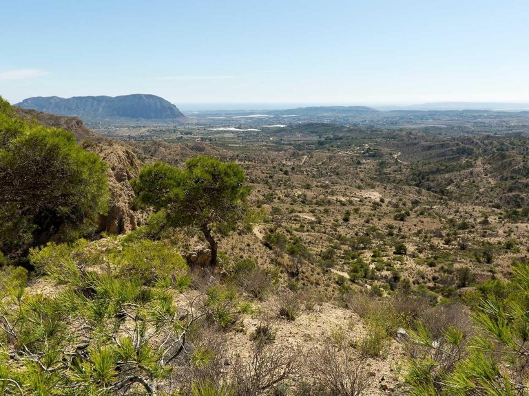 Villa for Sale in Aspe Pedanias, Alicante 11