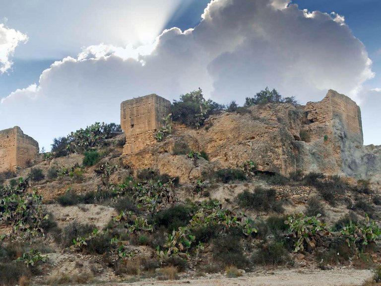 Villa for Sale in Aspe Pedanias, Alicante 8