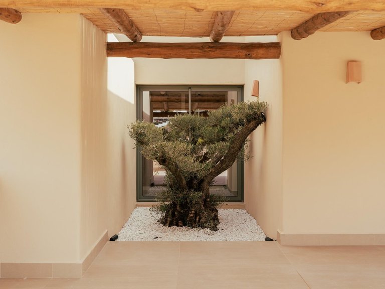 Villa for Sale in Jávea - Xàbia, Alicante 5