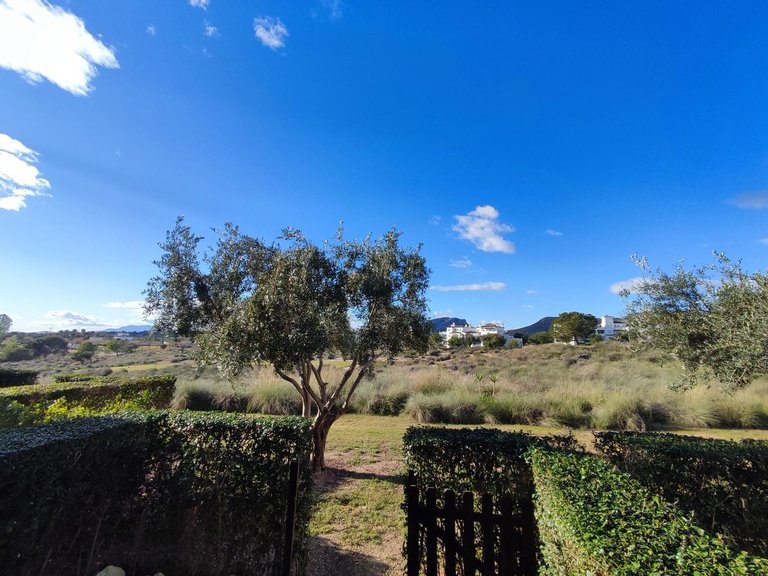 Apartment for Sale in Santiago De La Ribera, Murcia 6