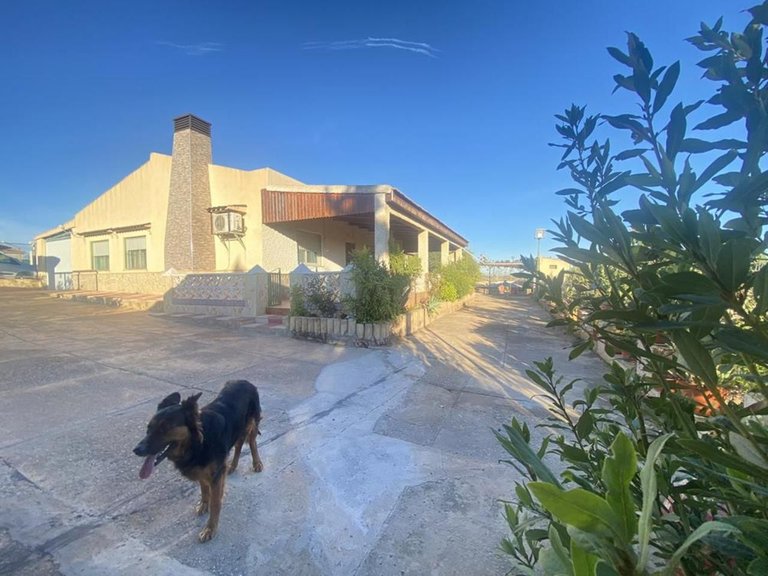 Villa for Sale in Murcia, Murcia 1