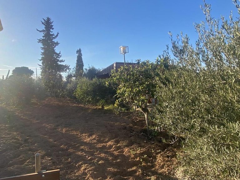 Villa for Sale in Murcia, Murcia 38