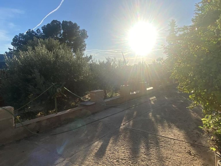 Villa for Sale in Murcia, Murcia 41