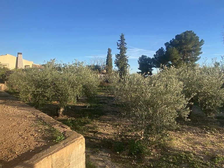 Villa for Sale in Murcia, Murcia 42