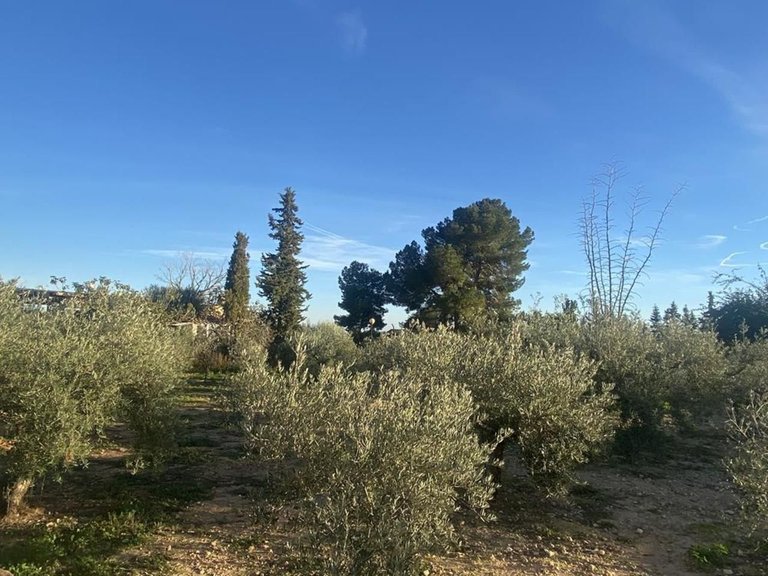 Villa for Sale in Murcia, Murcia 6