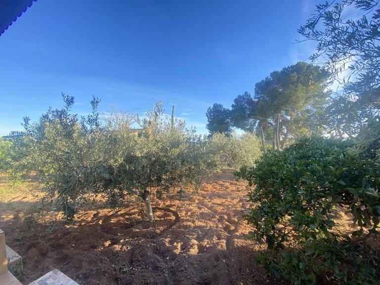 Villa for Sale in Murcia, Murcia 8