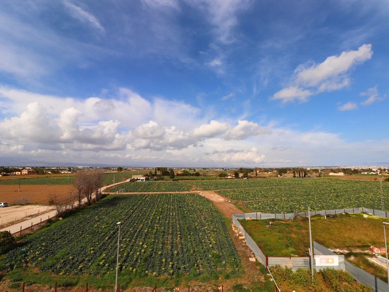 Town House for Sale in Daya Vieja, Alicante 6