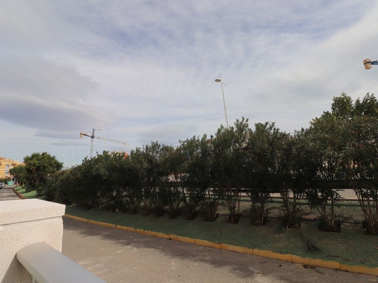 Apartment for Sale in Benijofar, Alicante 32