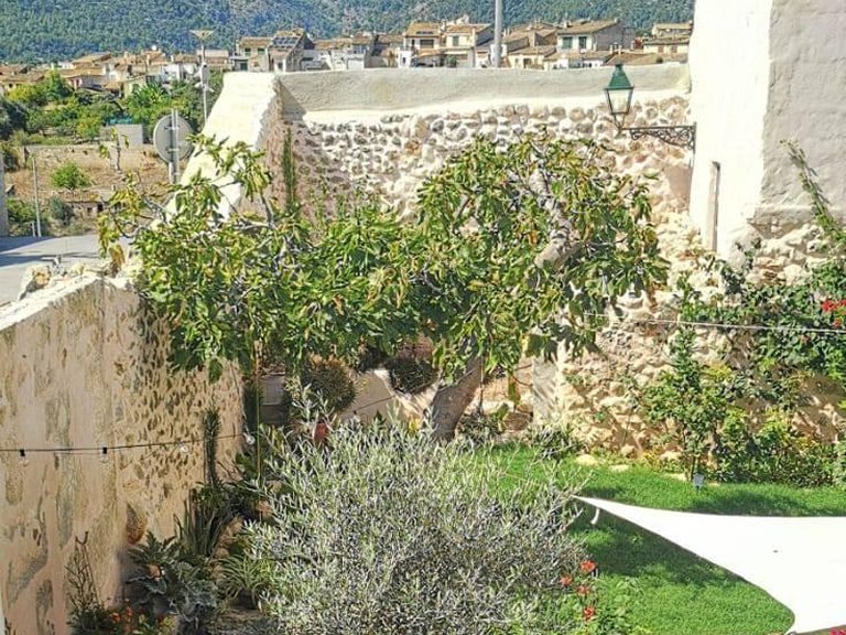 Town House for Sale in Nucleo urbano 55, Campanet, Balearic Islands 24