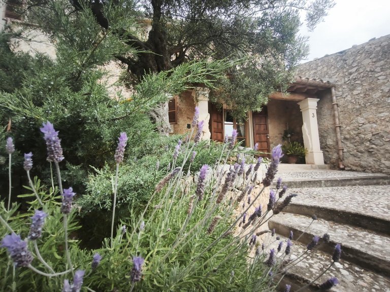 Country House for Sale in Caimari, Selva, Balearic Islands 5