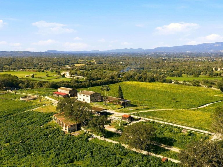 Country House for Sale in Llubi, Llubí, Balearic Islands 37
