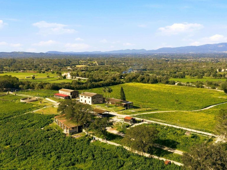 Country House for Sale in Llubi, Llubí, Balearic Islands 44