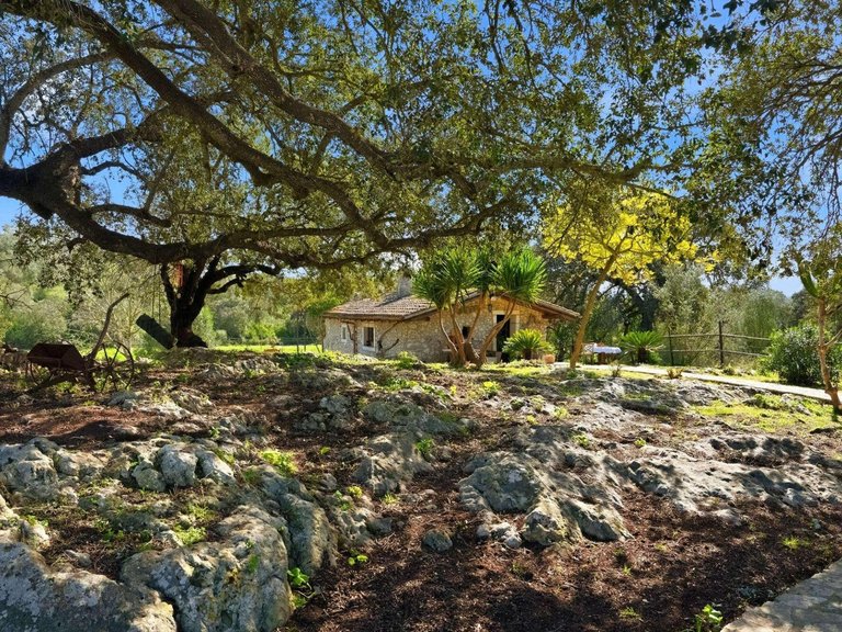 Country House for Sale in Llubi, Llubí, Balearic Islands 55