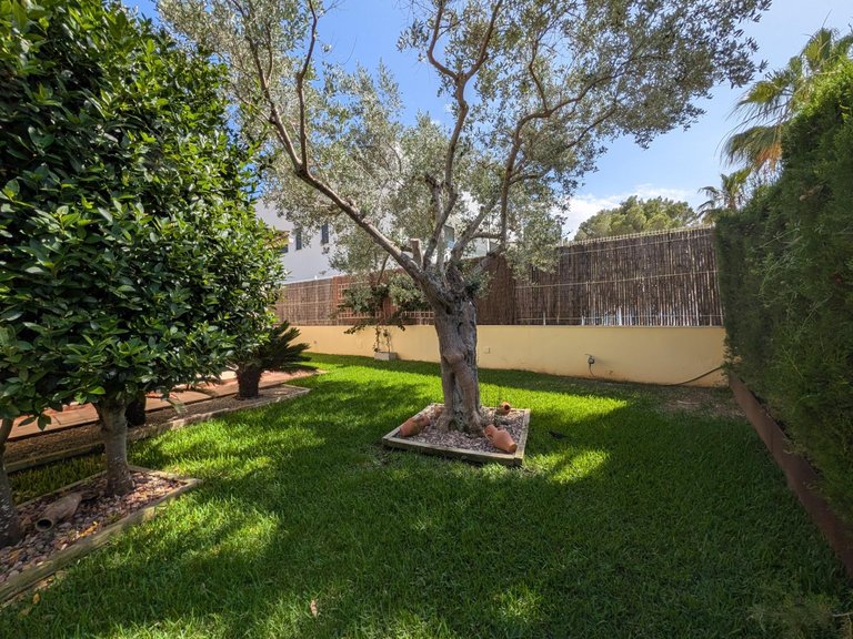 Villa for Sale in Can Picafort, Santa Margalida, Balearic Islands 8