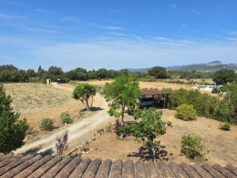 Country House for Sale in Nucleo urbano 56, Lloseta, Balearic Islands 34