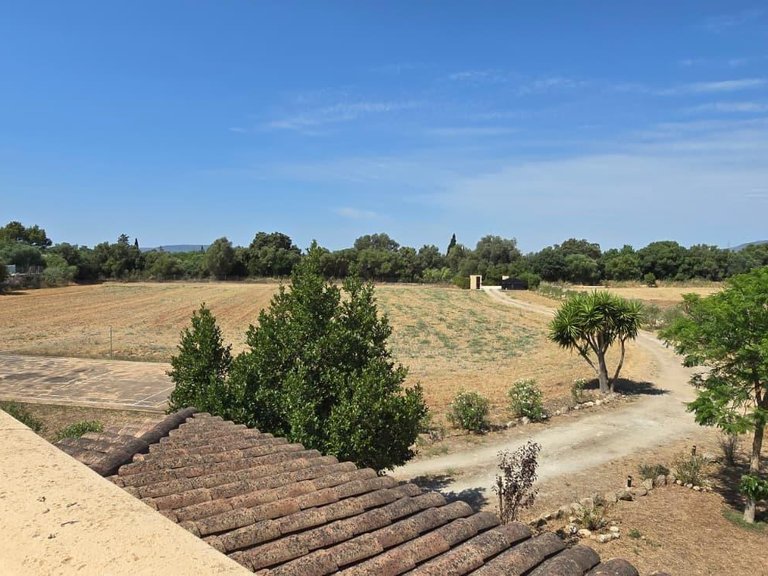 Country House for Sale in Nucleo urbano 56, Lloseta, Balearic Islands 36