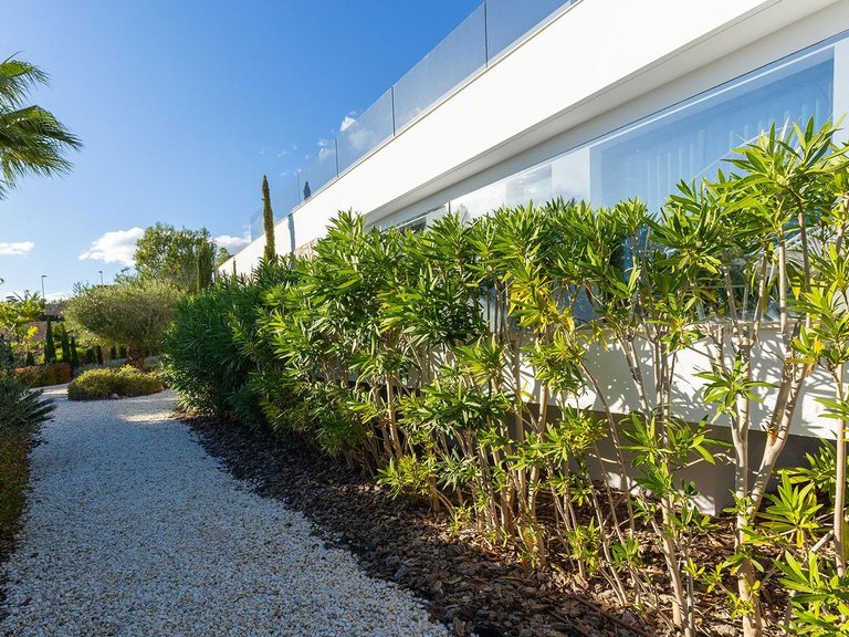 Villa for Sale in Inland Orihuela, Alicante 47