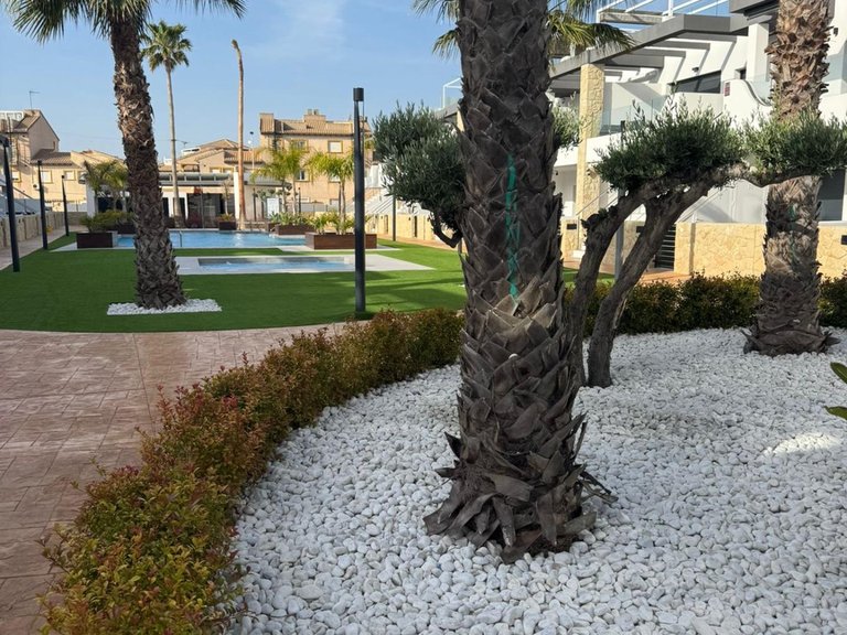 Apartment for Sale in Costa Blanca Orihuela Costa, Alicante 42