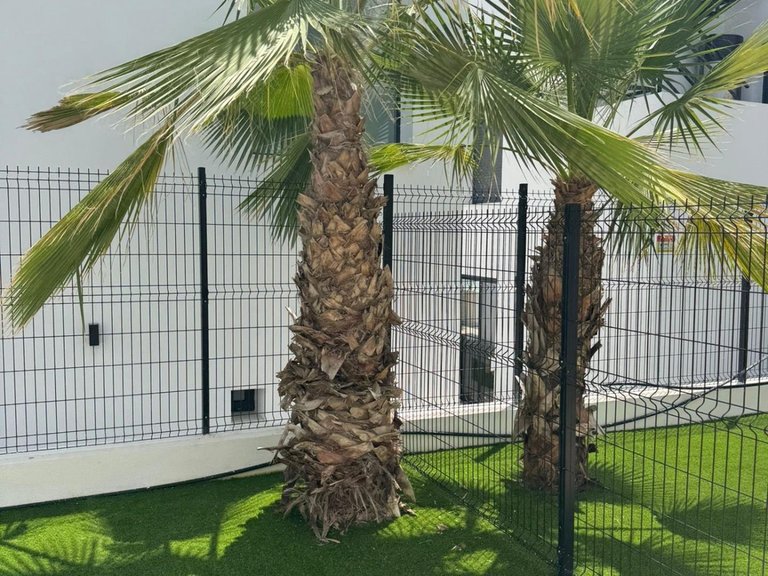 Apartment for Sale in Costa Blanca Orihuela Costa, Alicante 46