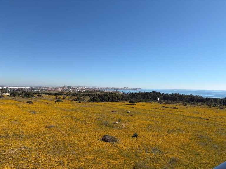 Penthouse for Sale in Torrevieja, Alicante, 21