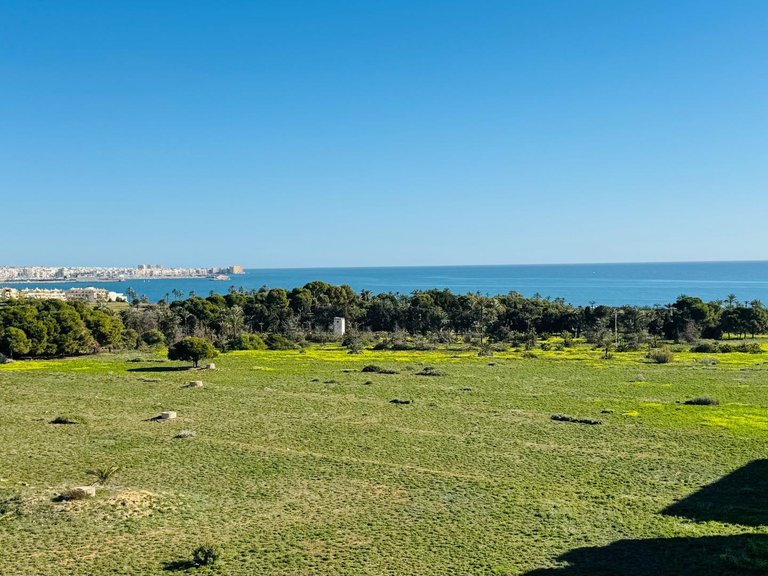 Penthouse for Sale in Torrevieja, Alicante, 7
