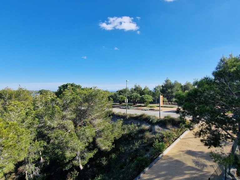 Apartment for Sale in Inland Orihuela, Alicante 39