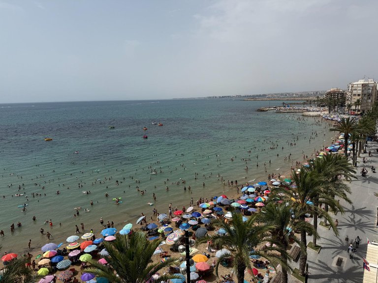 Apartment for Sale in Torrevieja, Alicante 1