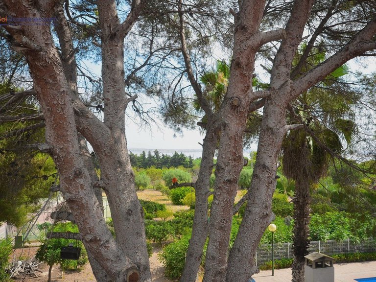 Villa for Sale in Costa Blanca Torrevieja, Alicante 10