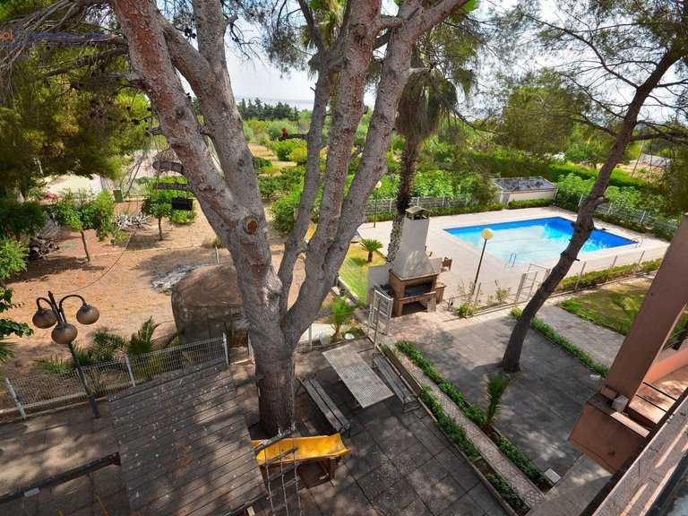 Villa for Sale in Costa Blanca Torrevieja, Alicante 11
