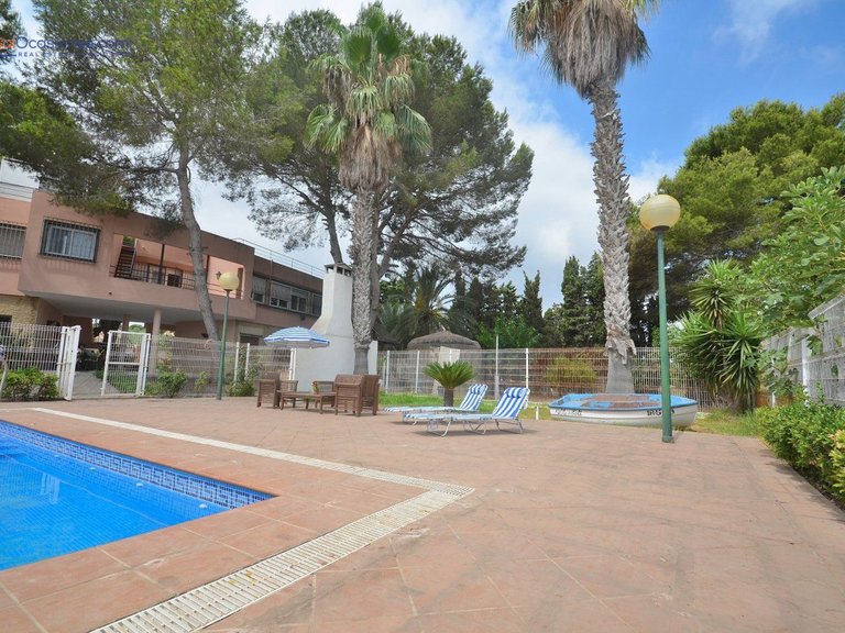 Villa for Sale in Costa Blanca Torrevieja, Alicante 34