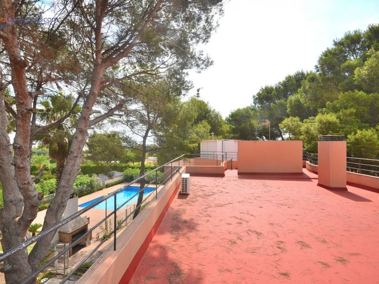 Villa for Sale in Costa Blanca Torrevieja, Alicante 8