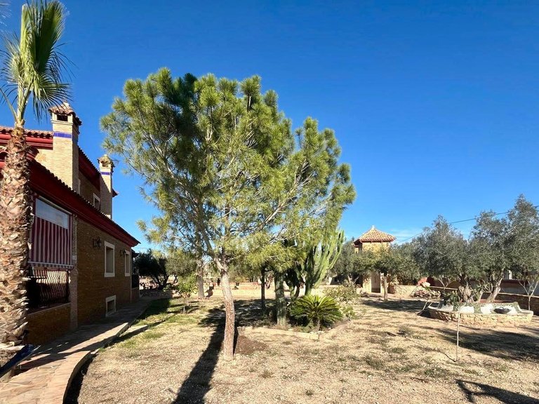 Villa for Sale in Inland Rojales, Alicante 13