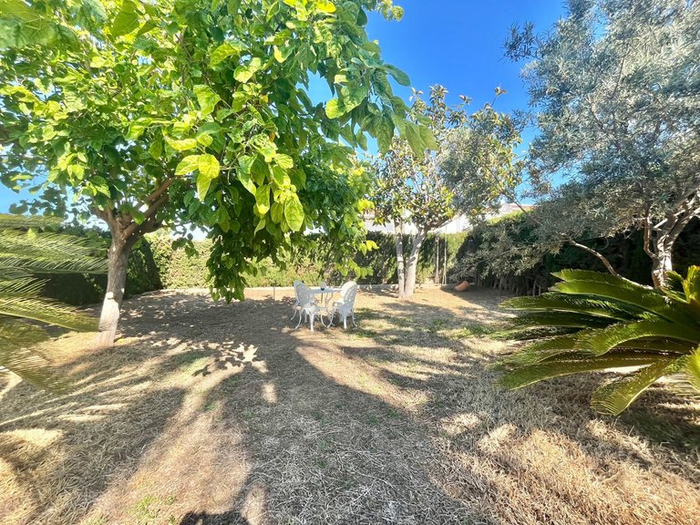 Villa for Sale in Costa Blanca Torrevieja, Alicante 6