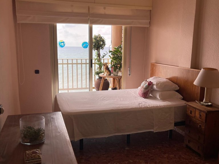 Apartment for Sale in Costa Blanca Torrevieja, Alicante 25