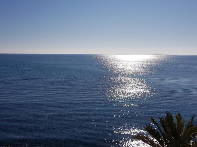 Apartment for Sale in Costa Blanca Torrevieja, Alicante 5