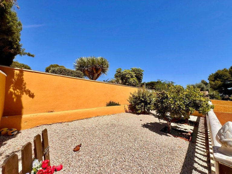 Villa for Sale in Costa Blanca Torrevieja, Alicante 6