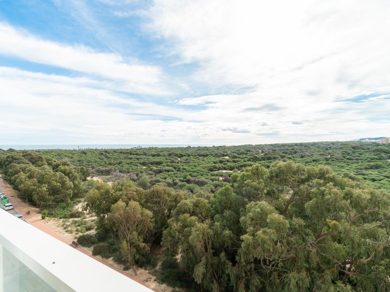 Apartment for Sale in Puerto Deportivo, Guardamar Del Segura, Alicante 39