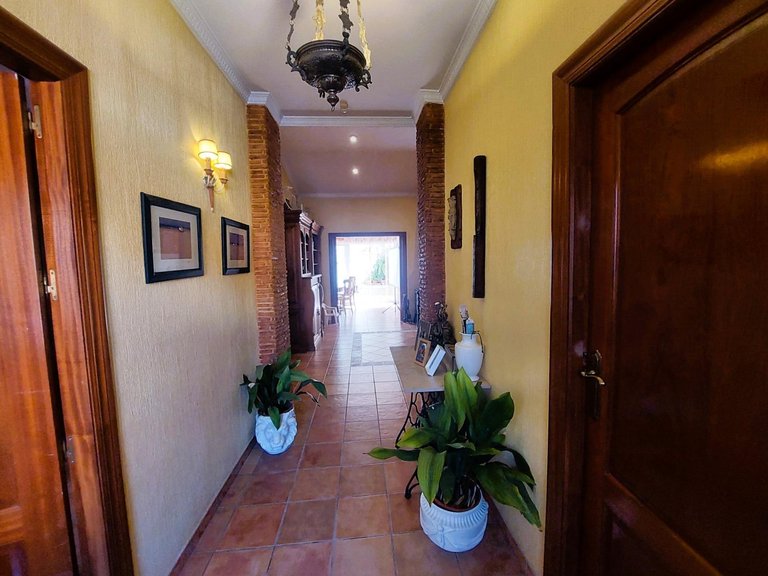 Villa for Sale in Torrevieja, Alicante 26